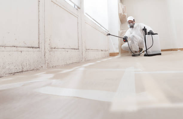 24/7 Emergency Basement Mold Remediation experts in Buckingham, PA